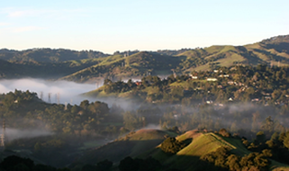 lamorinda Orinda